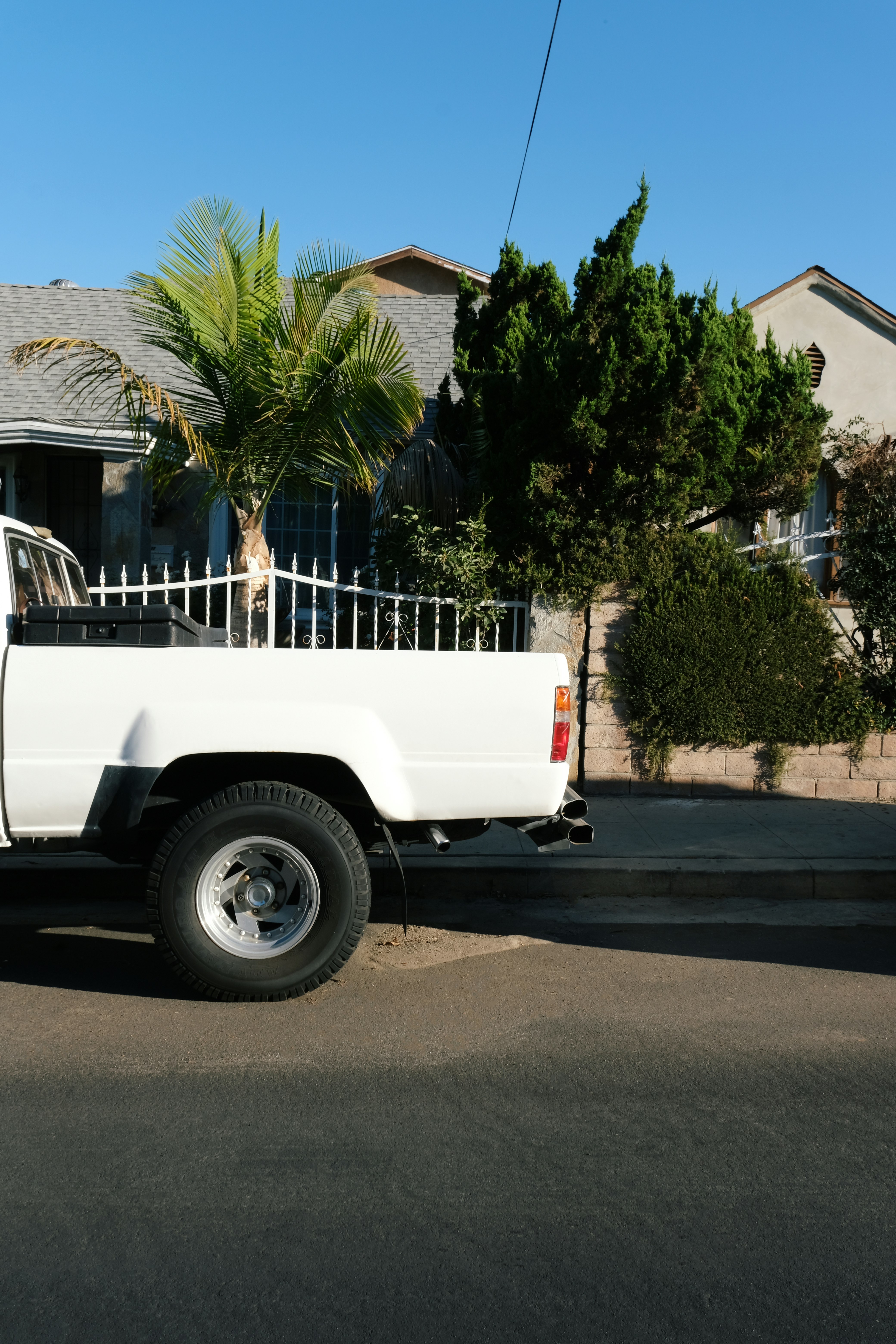 white single cab pickup truck parked near palm trees during daytime